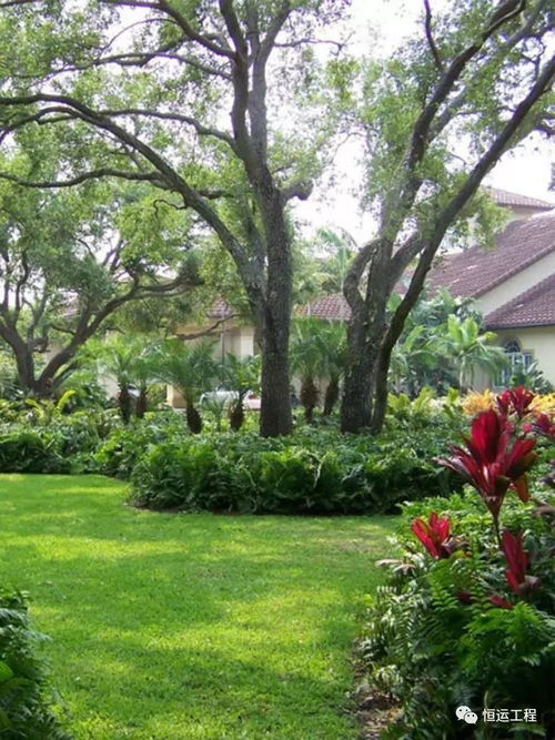 二、地域差异，价格各不相同