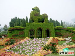 树木也需要修剪， 文章也是一样