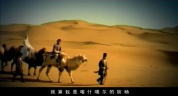 胡杨树爱情寓意是啥？原来它象征着坚贞不渝的陪伴