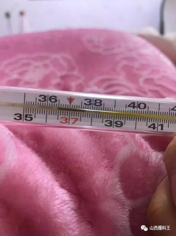 先来了解一下百菌清