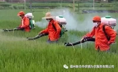 播种前的准备工作