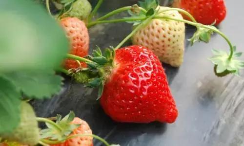 那问题来了：凭啥卖这么贵？