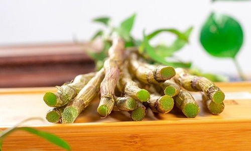 糖尿病友：铁皮石斛，Neng降血糖吗？