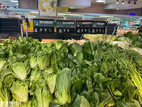 莴笋市场价格波动，每斤价格不一