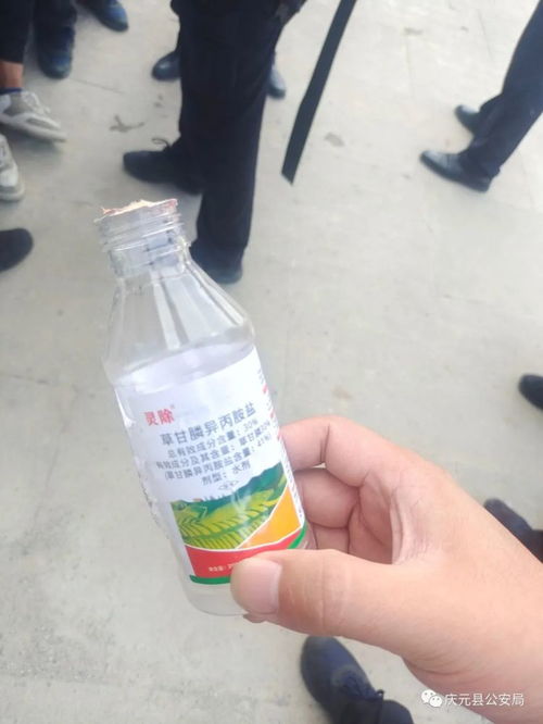 农药包装废弃物处理技术研究