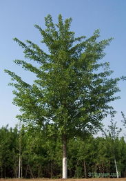 二、 规格繁多，价格各异