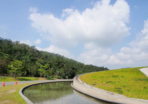 视觉和空间运用极重