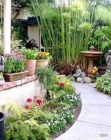 绿植养护方案设计图，打造室内生态微景观的奥秘