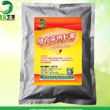 地衣芽孢杆菌在饲料芽孢杆菌排放的动物饲料发酵技术中如何发挥优势？