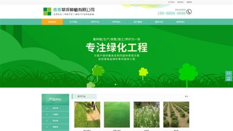 打造高端大气上档次的苗木种植与养护之道