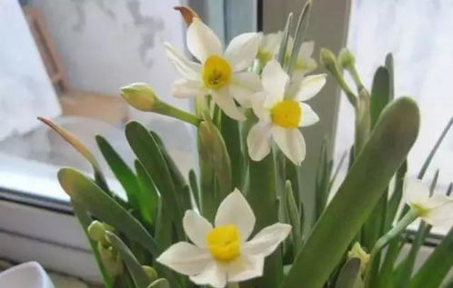 啤酒？也许吧！