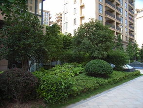 图文并茂的园林绿化花卉