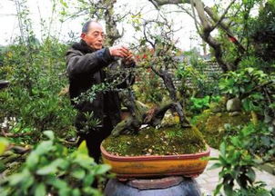 六、 川派花卉三剑客