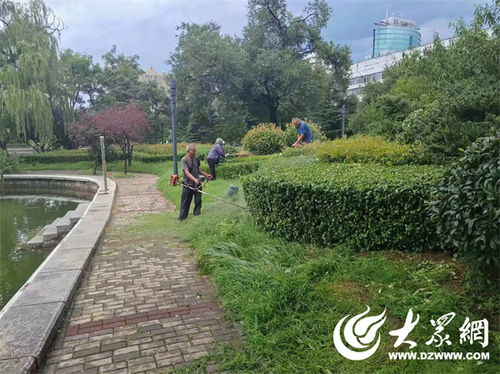 修剪与放任的博弈：这笔钱到底怎么算？