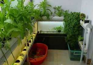 再说说我要分享一个小秘密！