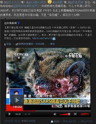SARS元凶菊花蝠？真相究竟是什么