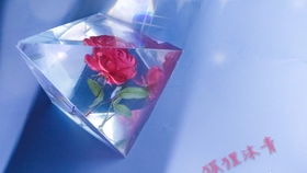 第二步：晾晒花朵， 耐心等待