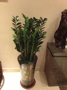 3.1 选择合适时机