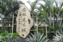 花市场电话哪里找