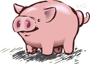 科学注射，保障猪群健康养殖