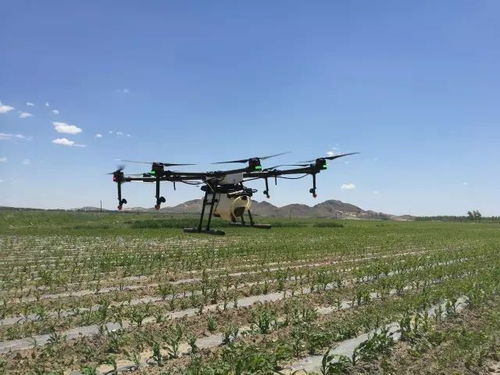 天气和风向也要kan