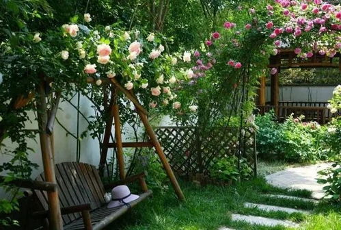 哎呀，还有一个小秘密哦，你们知道吗？