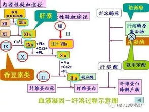 饲料原料药验收标准中，水分、蛋白质等关键指标检测流程真的完全掌握了吗？