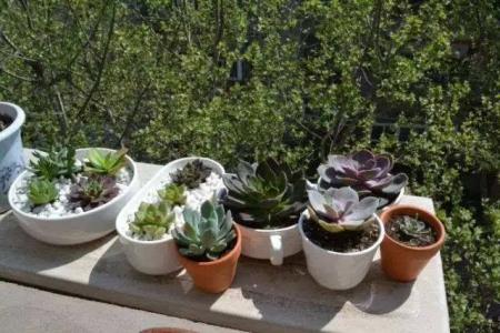 高温消毒与杀菌