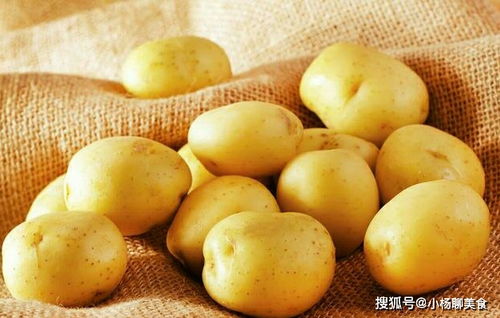 马铃薯和土豆，究竟是一物二名还是同名异物