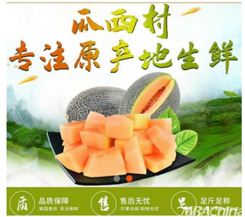 新疆哈密瓜网络销售平台，助力果农拓宽销售渠道