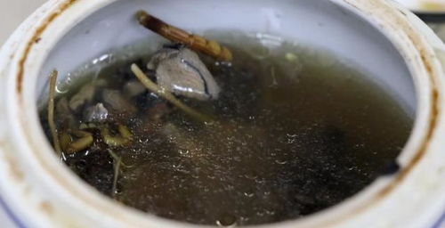 蝎子汤是一道以蝎子为主要食材的传统药膳