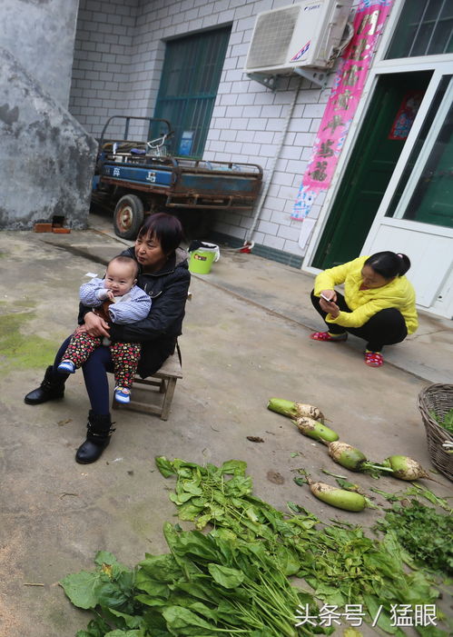 农村老爷爷种菜经：既营养又好卖的小秘诀