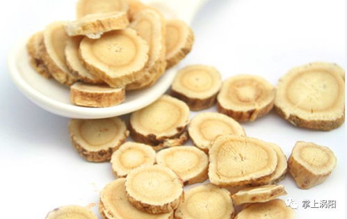 北芪与黄芪品种：北芪、 西芪，各领风骚