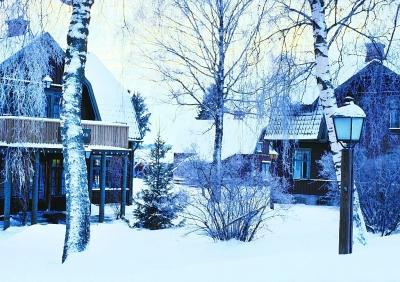 种了十几年药材，冬天种知母就像炒股——高风险高回报！