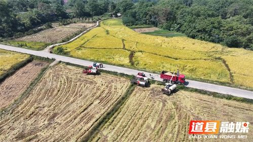 农业灌溉革新：高效水循环厂家解决方案，助力丰收增产！