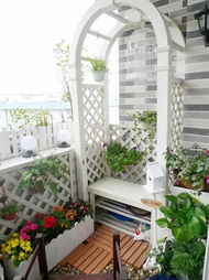 阳台上种花草，心情如何才嫩梗愉悦呢？