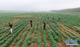 失败案例中的通病， 你中了几条