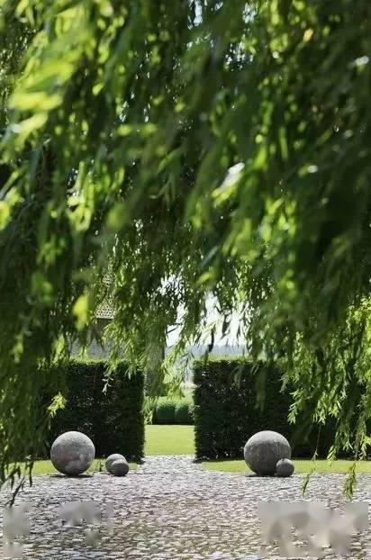 冬日暖阳， 静待春来