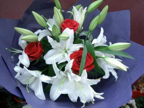送白百合花有什么特别的寓意，它传递了怎样的美好祝福呢