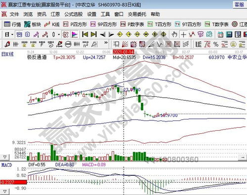 国光农药股Zui新动态：股价起伏不定， 市场关注焦点