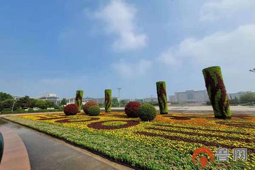 公园里的绿叶伴侣——北方公园适宜花卉