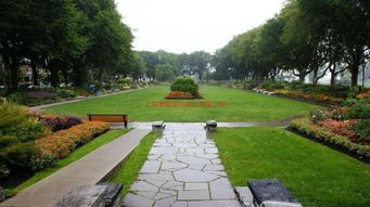 园林绿化施肥量如何确定？