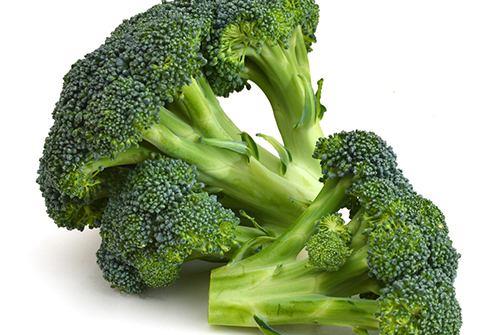 西兰花在哪个月份种植最合适？最佳种植季节是哪几个月份