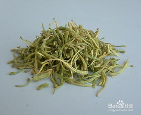 金银花功效与作用有哪些？别乱用