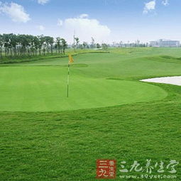 高尔夫果岭草种浅析