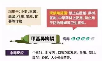 我国农药禁用范围全解析：哪些农药品种在2023年Yi被明确禁止使用？