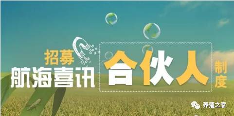 微生物饲料添加剂的作用机理是如何影响动物肠道菌群平衡和促进营养吸收的？