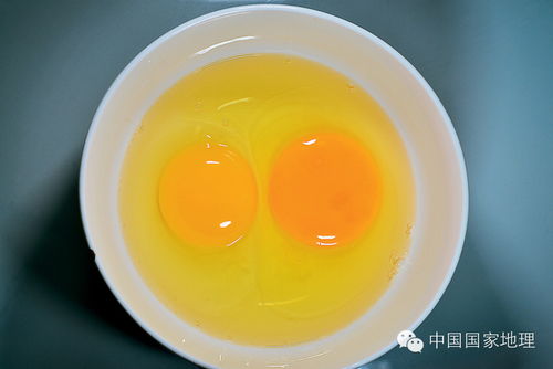 苏丹红鸭蛋：指添加了苏丹红染料的鸭蛋