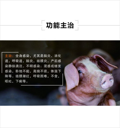 猪磺胺嘧啶钠中毒如何进行有效解救措施？