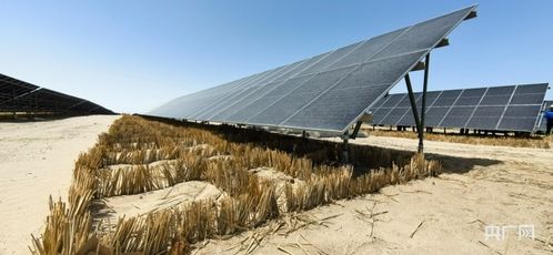 飞机跑道旁的绿茵之谜